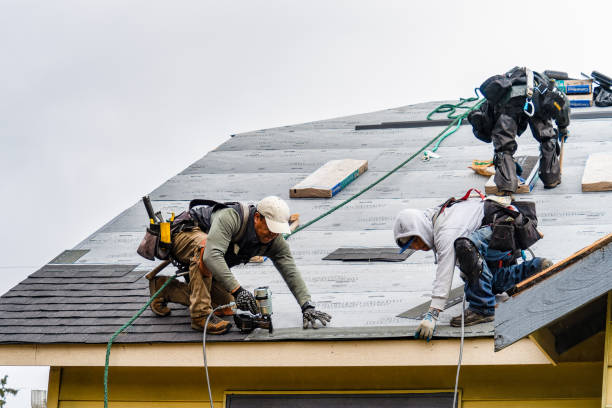 Professional Roofing technician working in Woodville, VA